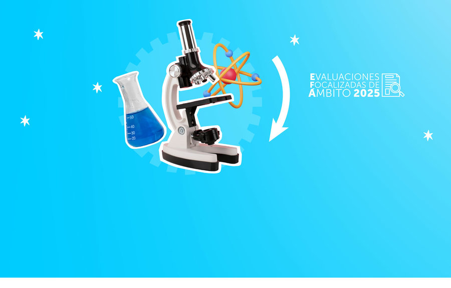 Dipres abrió postulaciones para nueva Evaluación Focalizada de Ámbito de Fondecyt