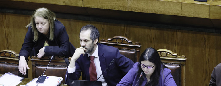 Avanza la discusión del Presupuestos 2026 en el Senado con la aprobación de 18 partidas