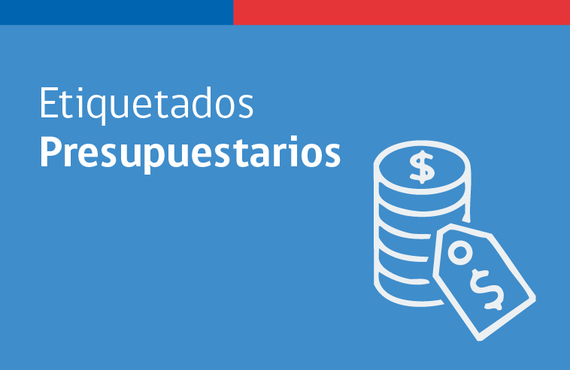 Etiquetados presupuestarios
