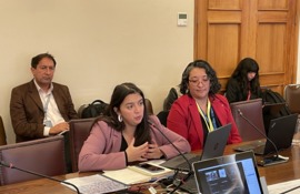 Directora de Presupuestos presenta Informe de Recursos Humanos del Sector Público a la comisión de Hacienda de la Cámara de Diputados