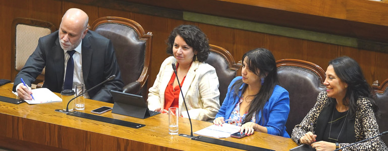 Cámara aprueba por unanimidad el proyecto de ley que crea el Fondo Transitorio para la Reconstrucción y lo despacha al Senado Cámara aprueba por unanimidad el proyecto de ley que crea el Fondo Transitorio para la Reconstrucción y lo despacha al Senado