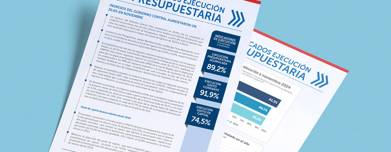 Boletín de Ejecución Presupuestaria noviembre 2024 Boletín de Ejecución Presupuestaria noviembre 2024